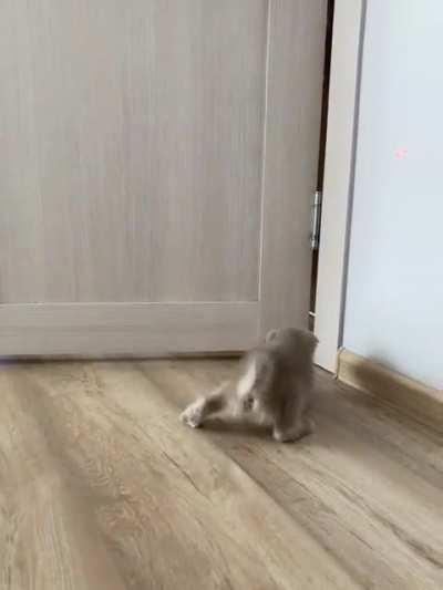 Helsinki and the laser..