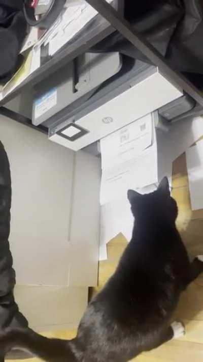 You don’t need these do you