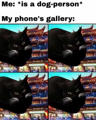 Maxwell do be vibin doe 🔥🔥💯💯