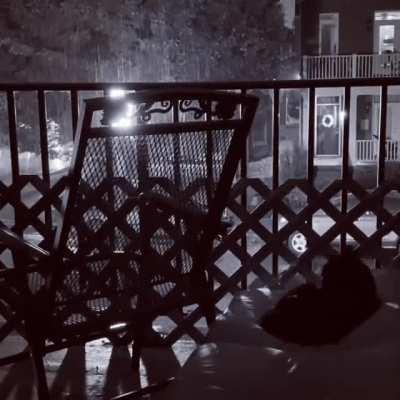 Rain in Richmond, VA (and cat)