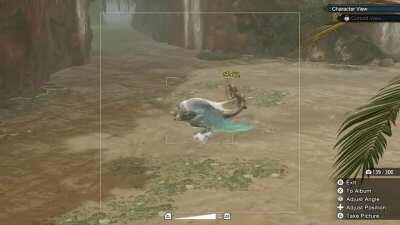 Funky Monkey did not appreciate an audience