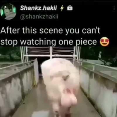 After this scene I can’t stop watching one piss 😍