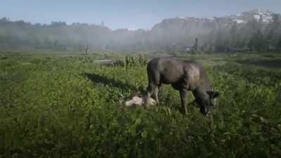 PSA: The Moose does not give a fuck if you try to ram into it as the Buck!