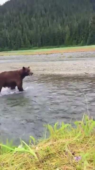 🔥Normal day in Alaska