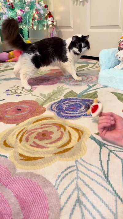 Advent calendar 1, day 23 ❤️💚