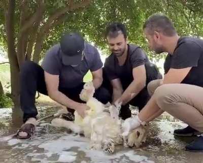 Хьюстон, у нас проблемы!