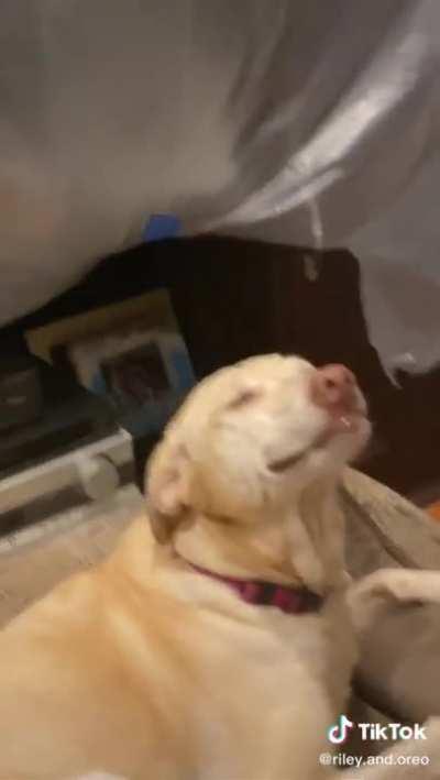 Who could of done it?