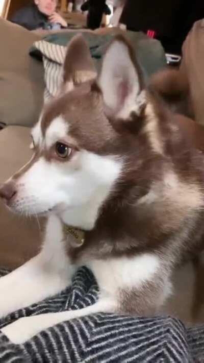 *Car locking sounds*