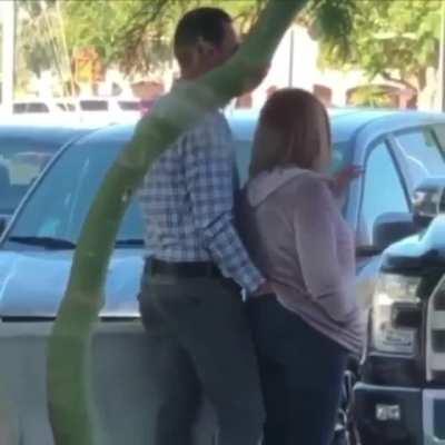 What the actual heck?