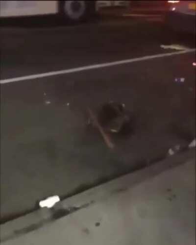 Ne istediniz hayvandan anasını siktimin çocukları