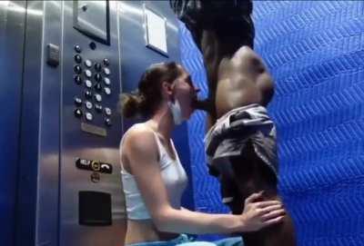 She couldn't wait to suck it, so she done it in the elevator