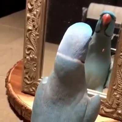 Praticando a flertar