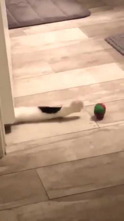 The struggle is real