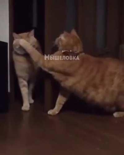 Brutal attack bup bup bup