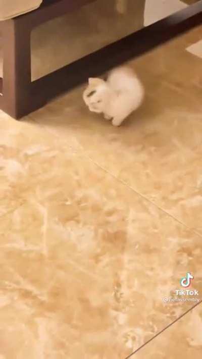 A literal war criminal.