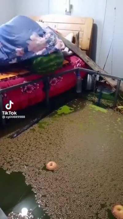 I have several questions