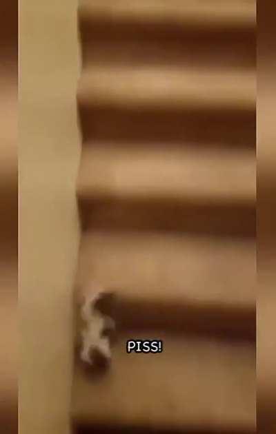 1 life gone, 8 to go