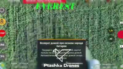 Ukrainian drones operated by Ptashka Systems shoot down Russian Mavic drones using networks from net gun. May 2-8, 2025.