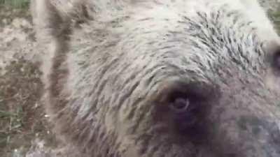 Cutest thing I’ve seen all year