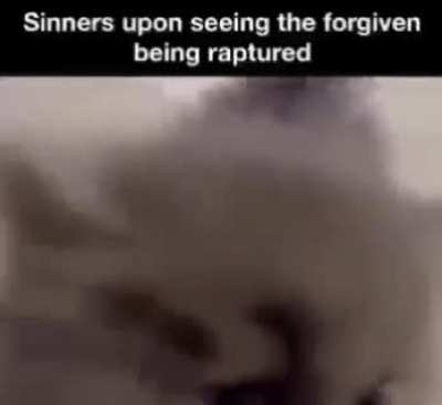 freudington judgement