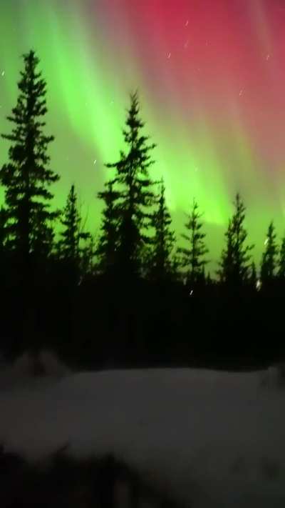 🔥 Walking out the front door at 3:17 am this morning in Venetie, Alaska