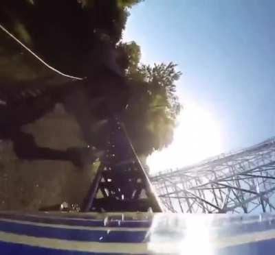 What if it was all a dream