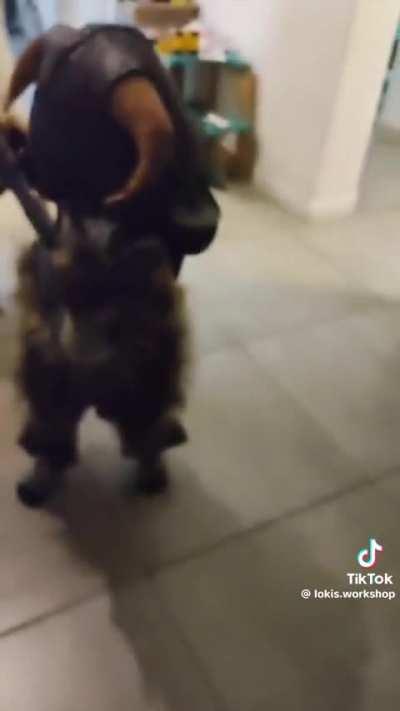 Carola? Ai algo que no contaste?