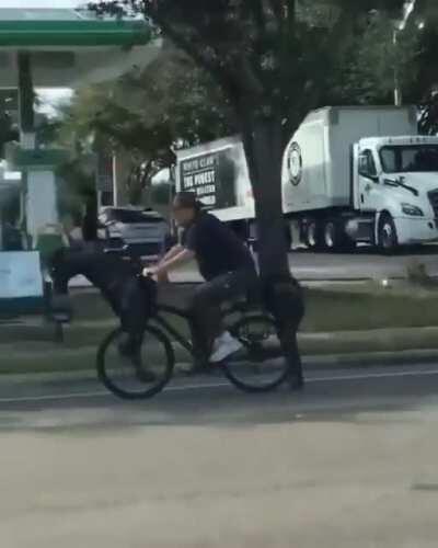 What in horse imitation?