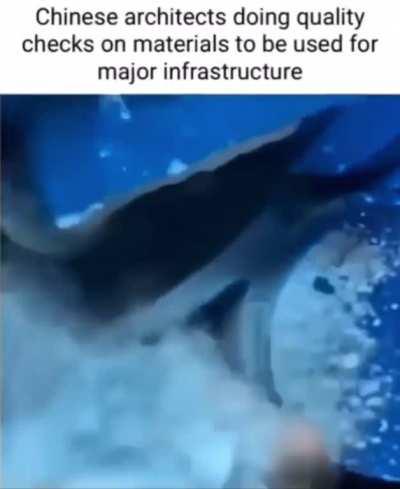 but muh chinese megacities will destroy US!!!ð«ð«