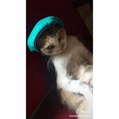 It seems like the cat didn't like the hat