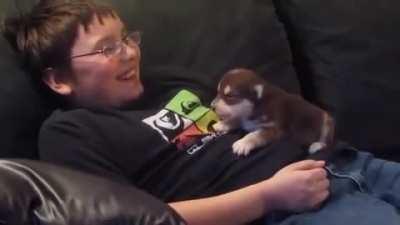 They teach each other how to howl (: