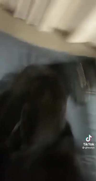 Un título interesante