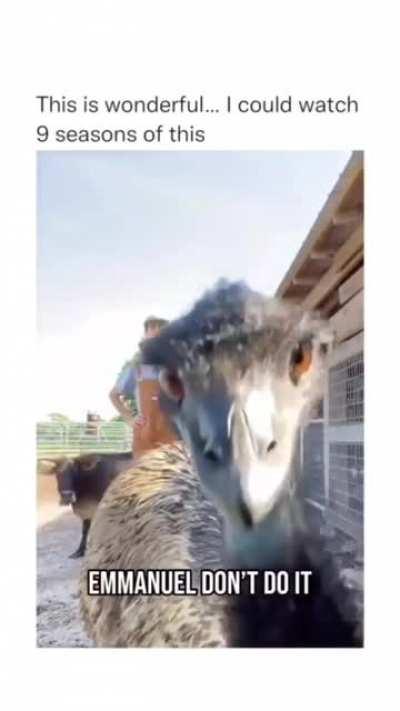 Emanuel thought about it