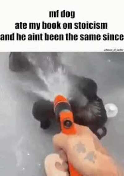 Just a chemical reaction