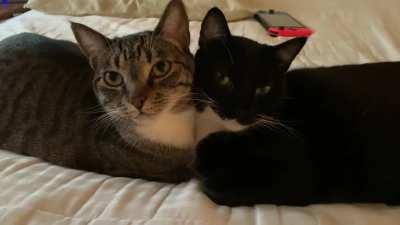 I just learned about this subreddit! Does this count?