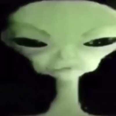 feel my pasion feel my pasion