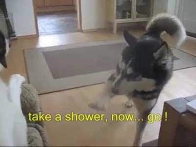 The argument by itself is pretty good!