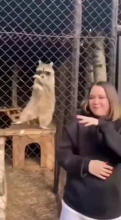 Big buddy got carried.....😂