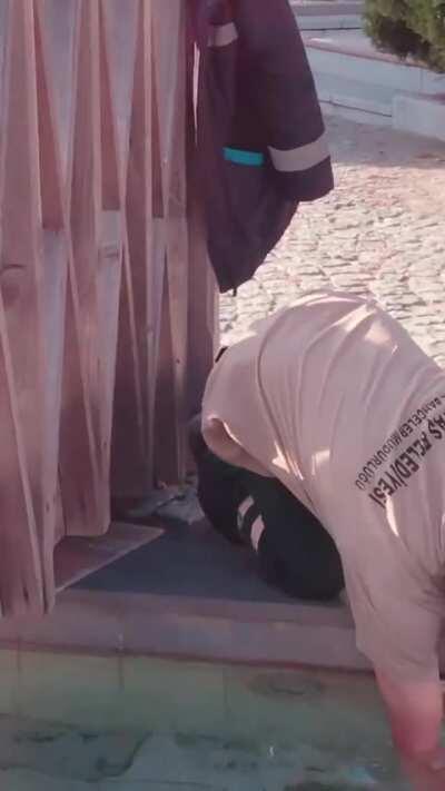 Cat attempts to push worker into the water.