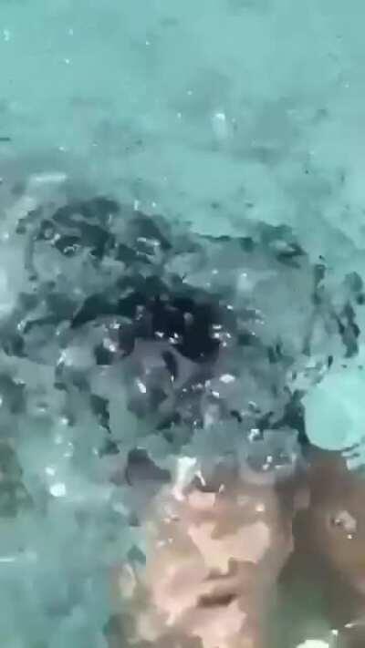 Pool Eat Her Boobs-nileporn