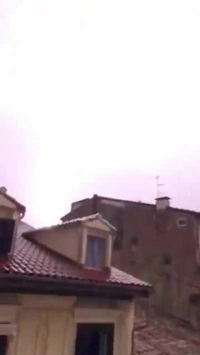 Pamplona looking Plump