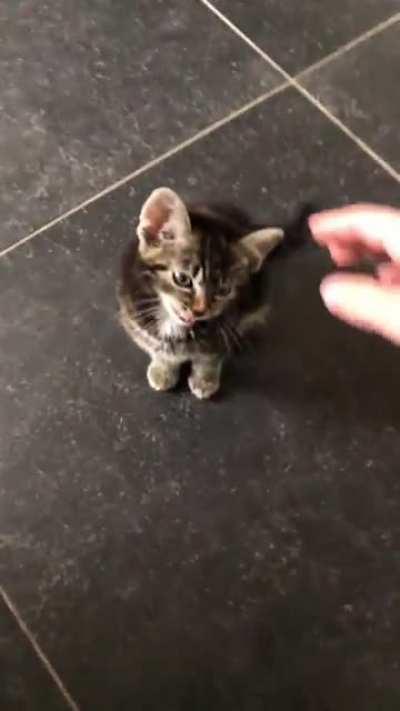 Heard some ‘yelling’ behind me