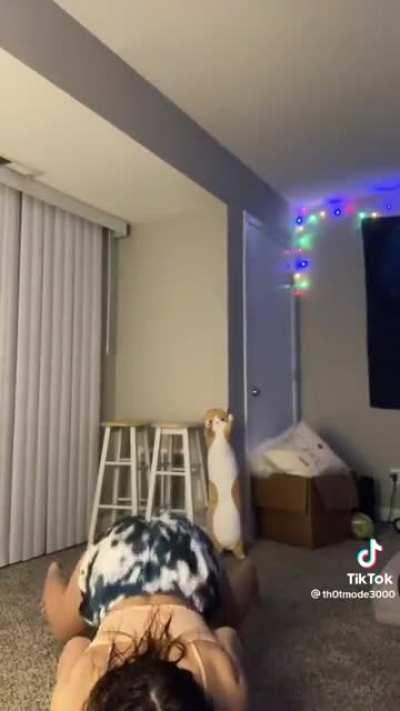 isabelleleblanc - Video #6350