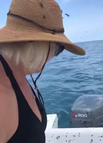 How did one not fly into their mouths?