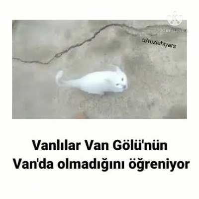 Hmmm ğøttəñ ßəx