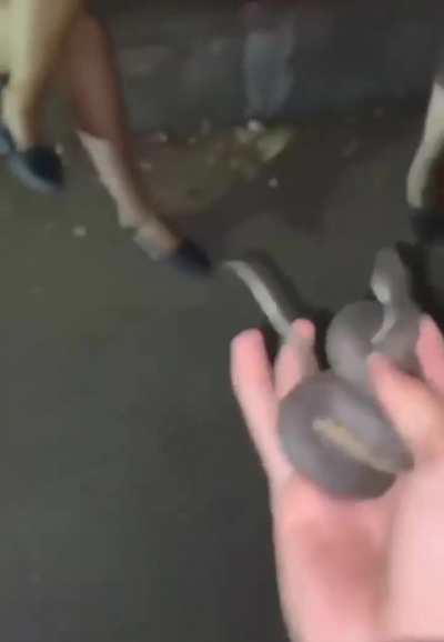 That is one poor little lizard