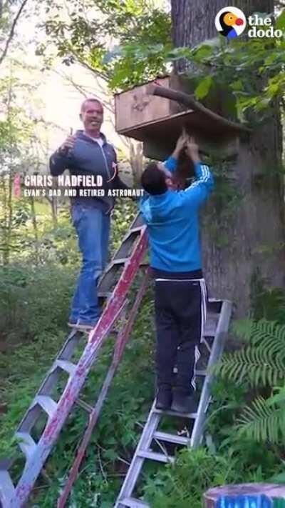 Larry makes a human friend