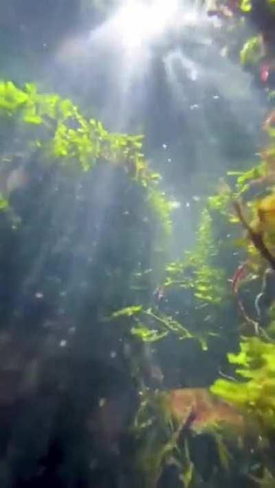 A different perspective