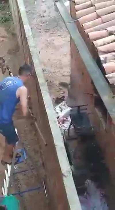 churras tá chegando, fica esperto mufasa