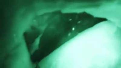 cursed_I_don't_even_know